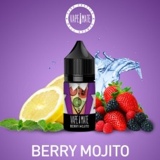 VapeMate Premium Salt Likit 30 Ml. - Berry Mojito